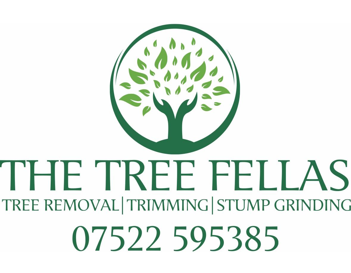 The Tree Fellas - Tree Surgery, Landscaping & Fencing Services logo