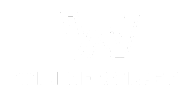 WIN SERVICES LIMITED logo