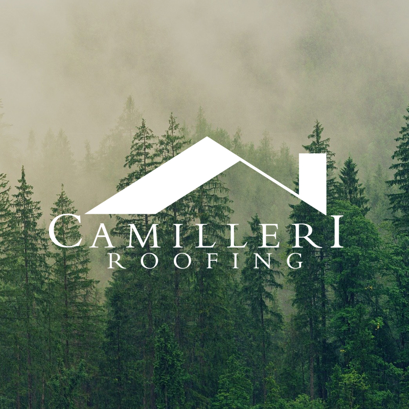 Camilleri Roofing logo