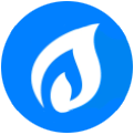 Ryan Gas Heating & Plumbing logo